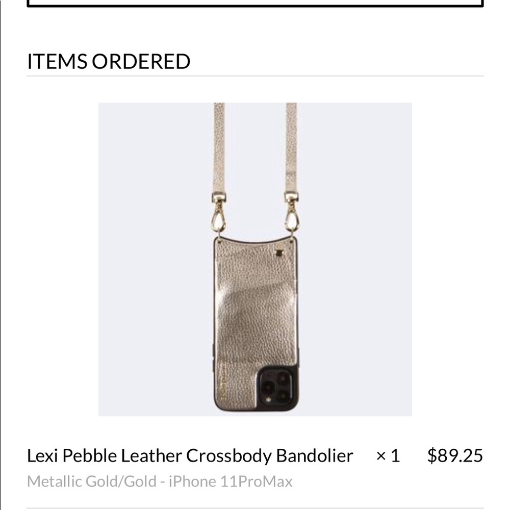BANDOLIER GOLD/ GOLD CASE AND POUCH